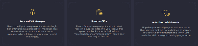 Winning Casino VIP Program